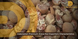 Indonesian Premium Areca Nut Exporters Characteristics
