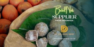 Indonesia Betel Nut Supplier